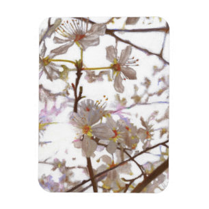 Ímã Prelúdio 2014