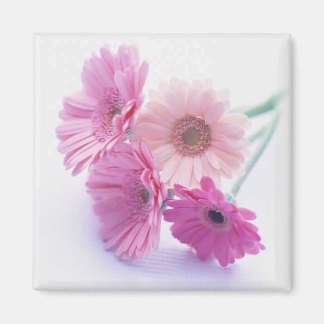 Imã Prêmio Jardim 8 (Frente)