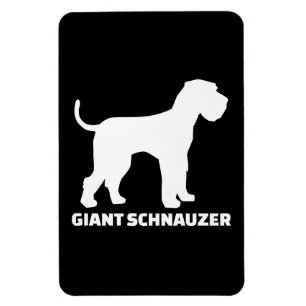 Ímã prêmio schnauzer gigante