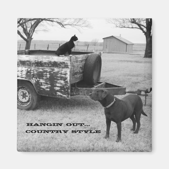 Imã Prendendo o ímã (Frente)