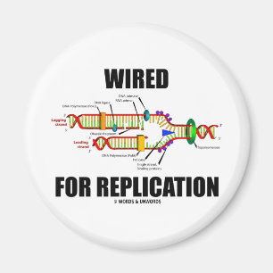 Imã Prendido para a réplica (réplica do ADN)