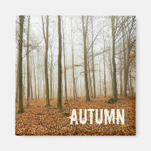 Presente da Floresta Mista e Fog Fall Season