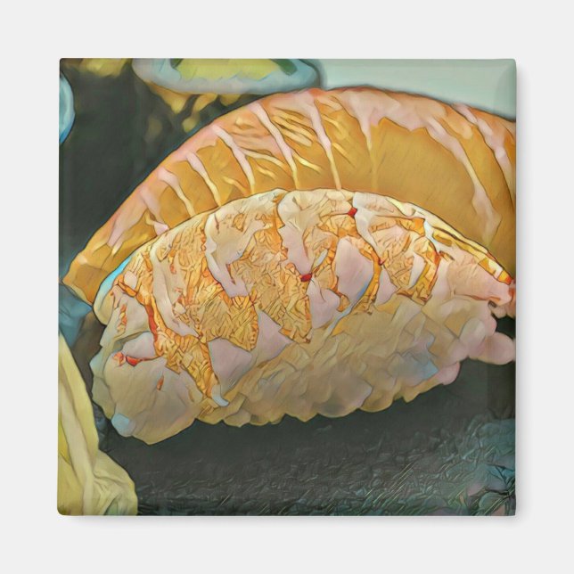 Imã Presente de amante Sushi (Frente)