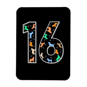 Ímã Presente de aniversário 16.o aniversário com c