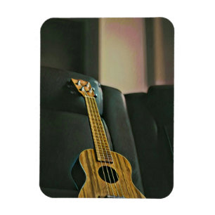 Ímã presente de guitarra de baixo acústico