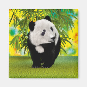 Imã Presente de Urso Panda Fofinho Kawaii para Amantes