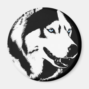 Ímã/presente do Alasca do cão de trenó da imã