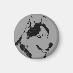 Ímã/presente do Alasca do cão de trenó da imã