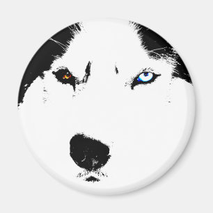 Ímã/presente do Alasca do cão de trenó da imã