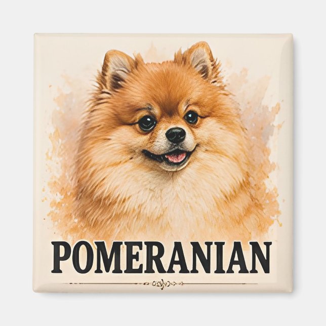 Imã Presente para Amante de Cachorro Pomerânia Fofa (Frente)