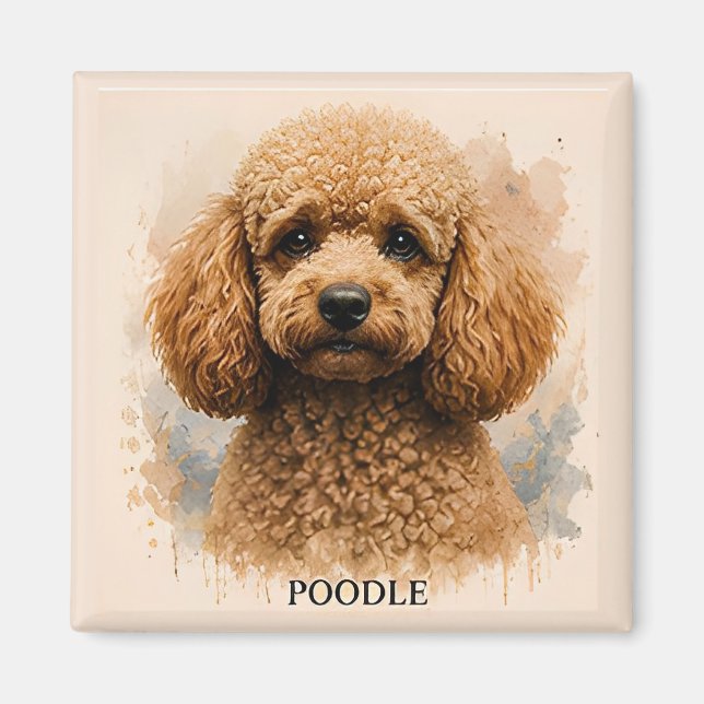 Imã Presente para Amante de Cães Poodle (Frente)