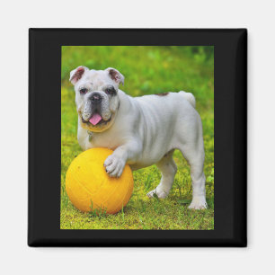 Imã Presente para Lover-in-touro de Bulldog de Basquet
