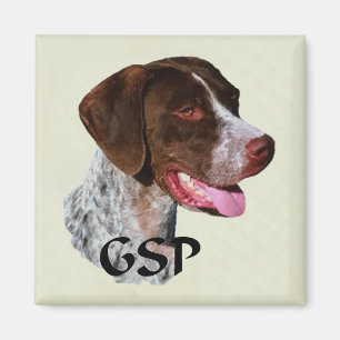 Imã Presentes alemães do ponteiro de cabelos curtos