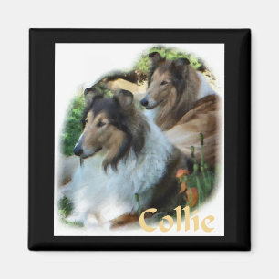 Imã Presentes ásperos da arte do Collie