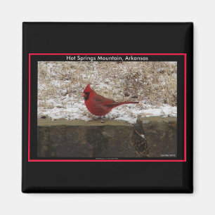 Imã Presentes Cardinal Hot Springs Nat. Park Mountain