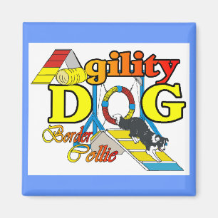 Imã Presentes de Agilidade de Collie de Borda