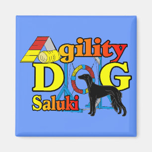 Imã Presentes de Agilidade na Saluki
