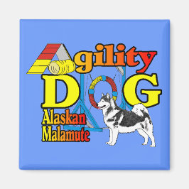 Imã Presentes de agilidade no Alaska Malamute