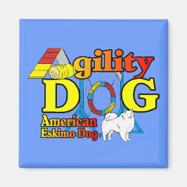 Imã Presentes de agilidade no cão esquimó americano