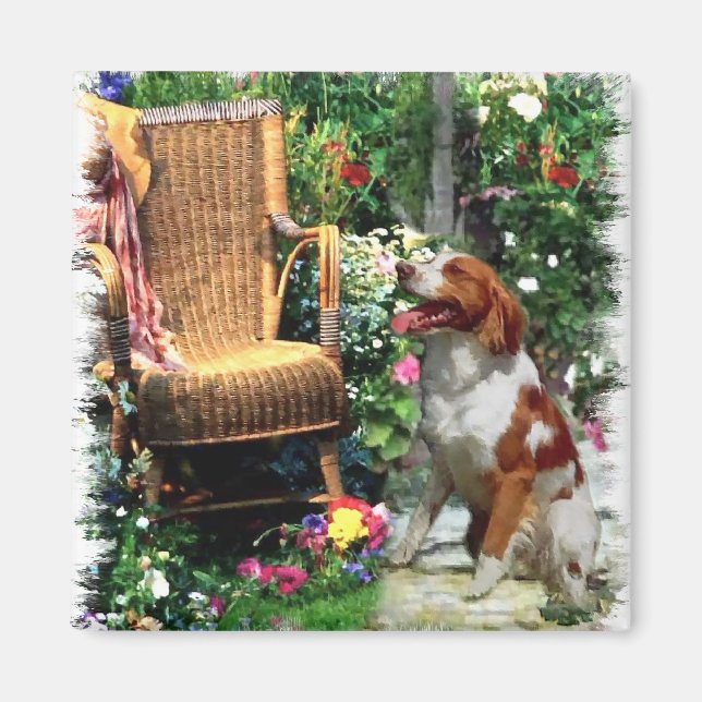Imã Presentes de Arte Brittany Spaniel Americanos (Frente)