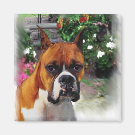 Imã Presentes de Arte Canina Boxer
