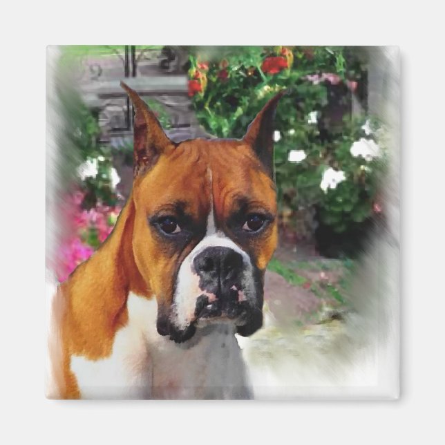 Imã Presentes de Arte Canina Boxer (Frente)