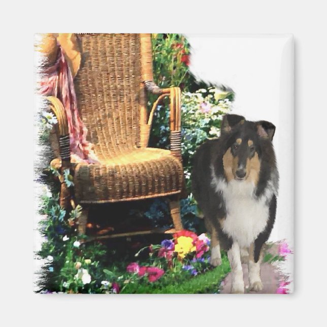 Imã Presentes de Arte Collie Rough de Três Cores (Frente)