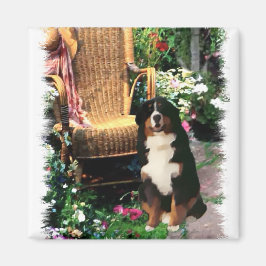 Imã Presentes de Arte de Cachorro de Montanha Bernese