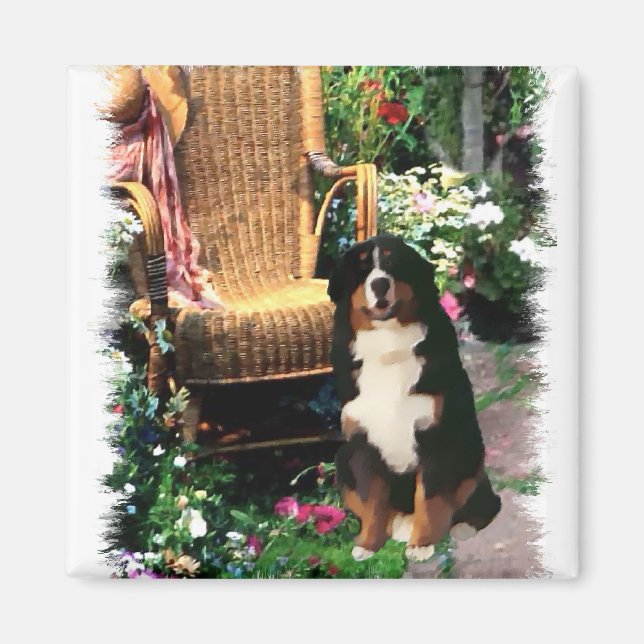Imã Presentes de Arte de Cachorro de Montanha Bernese (Frente)
