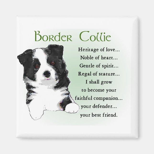 Imã Presentes de Arte de Collie de Borda (Frente)