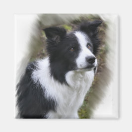 Imã Presentes de Arte de Collie de Borda