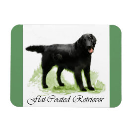 Ímã Presentes De Arte De Retriever De Revestimento Sim