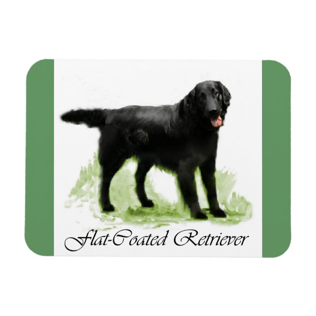 Ímã Presentes De Arte De Retriever De Revestimento Sim (Horizontal)