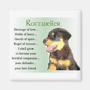 Imã Presentes de Arte do Rottweiler