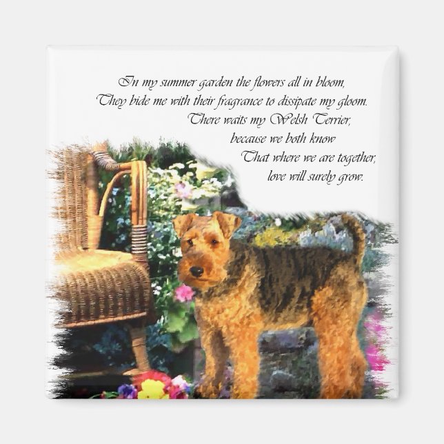 Imã Presentes de Arte do Welsh Terrier (Frente)