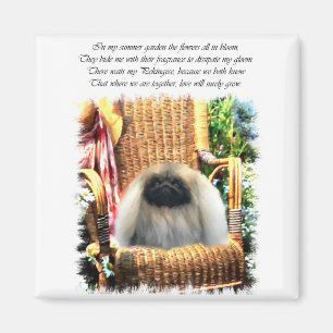 Imã Presentes de Arte Pekingese