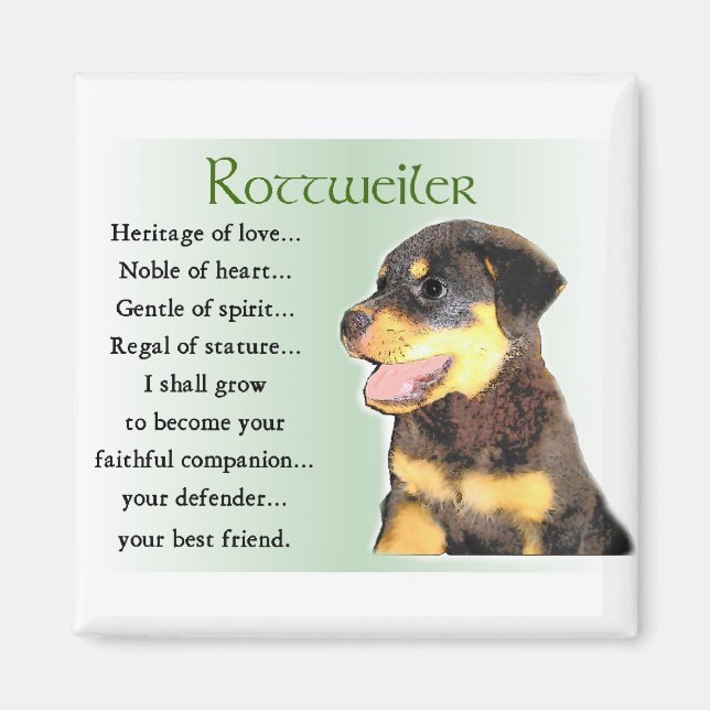 Imã Presentes de Arte Rottweiler (Frente)