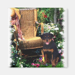 Imã Presentes de Arte Rottweiler