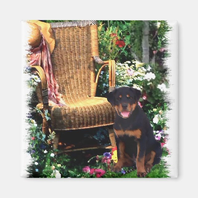 Imã Presentes de Arte Rottweiler (Frente)