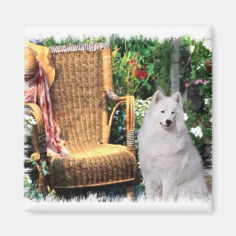 Imã Presentes de Arte Samoyed