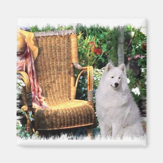 Imã Presentes de Arte Samoyed (Frente)