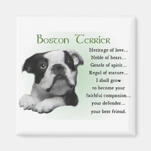 Imã Presentes de Boston Terrier