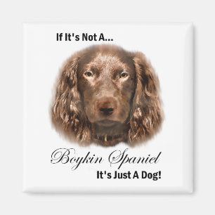 Imã Presentes de Boykin Spaniel