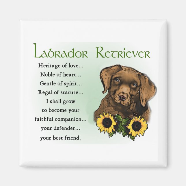 Imã Presentes de chocolate Labrador rebitador (Frente)
