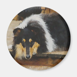 Imã Presentes De Collie Rough De Três Cores
