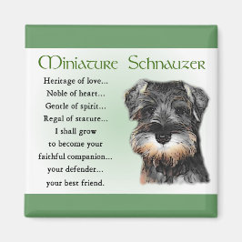 Imã Presentes de Miniatura Schnauzer