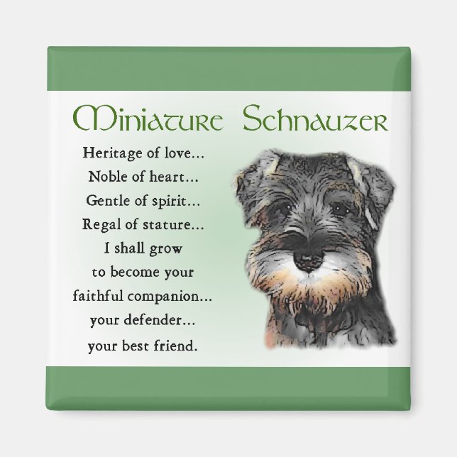 Imã Presentes de Miniatura Schnauzer (Frente)