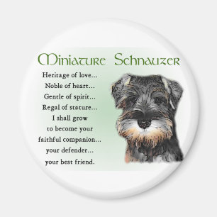 Imã Presentes de Miniatura Schnauzer