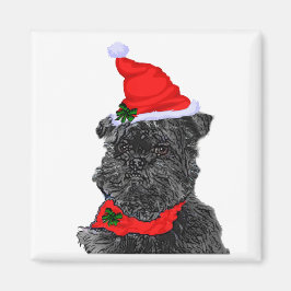 Imã Presentes de Natal de Affenpinscher