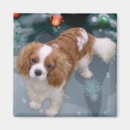 Imã Presentes de Natal do Cavalier King Charles Spanie